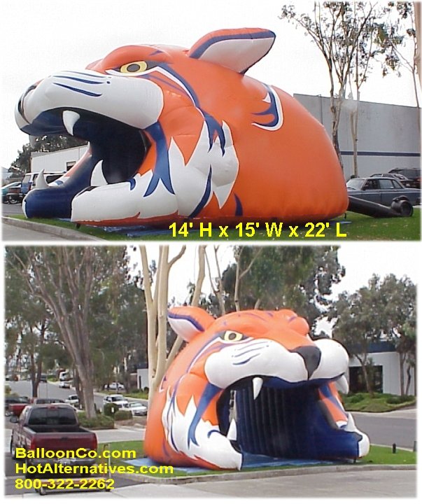 San Angelo Central TX High School Bobcats Football Mascot Tunnel