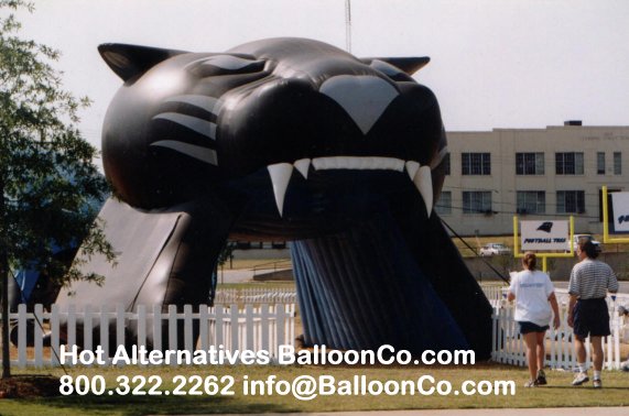 Carolina Panthers Entryway